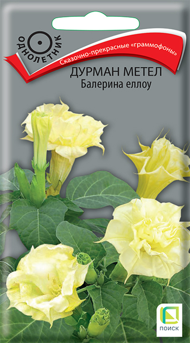 Дурман метел Балерина Еллоу