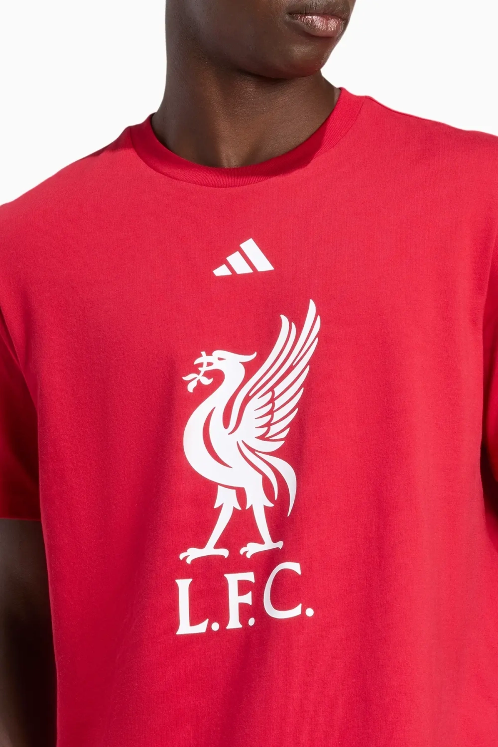 Футболка adidas Liverpool FC 25/26 DNA Graphic Tee - красный