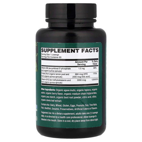 PlantFusion, веганские цельные продукты, органические фолаты и метил B12, со вкусом ягод, 60 пастилок