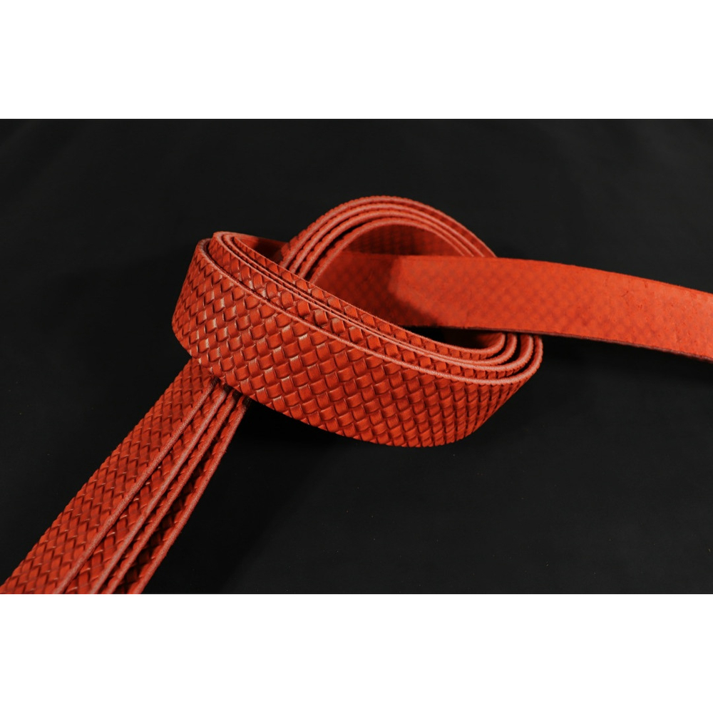 Ременная заготовка Красная + Плита Симметрия