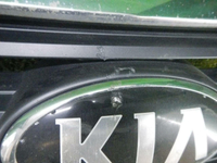 Решетка радиатора Kia Sportage 3 SL (2010-2014)