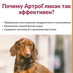 Кормовая добавка, хондропротектор нового поколения, улучшающая состояние печени и сердца у кошек, собак, крыс и хорьков АртроГликан, 30таблеток