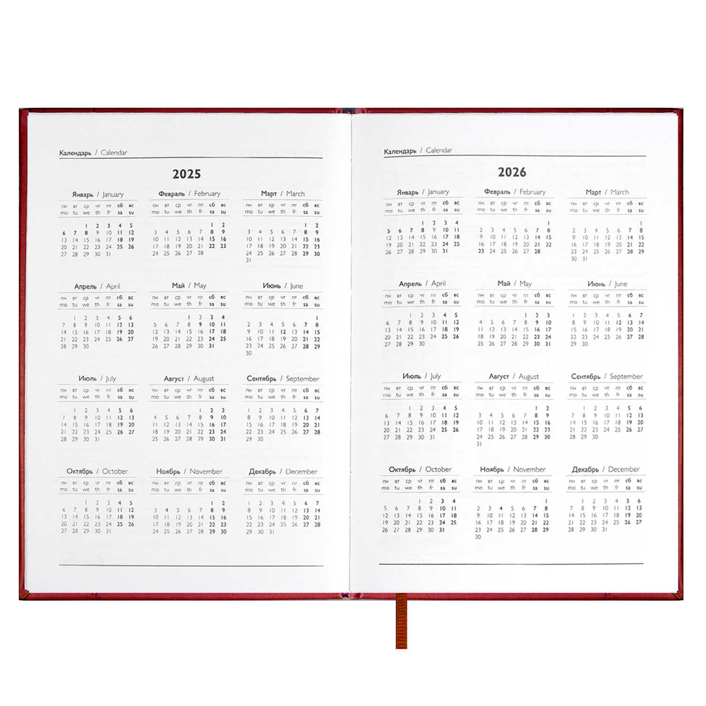 Ежедневник датированный 2025 ESCALADA, #ИЛОН МАСК, А5, 176 л.