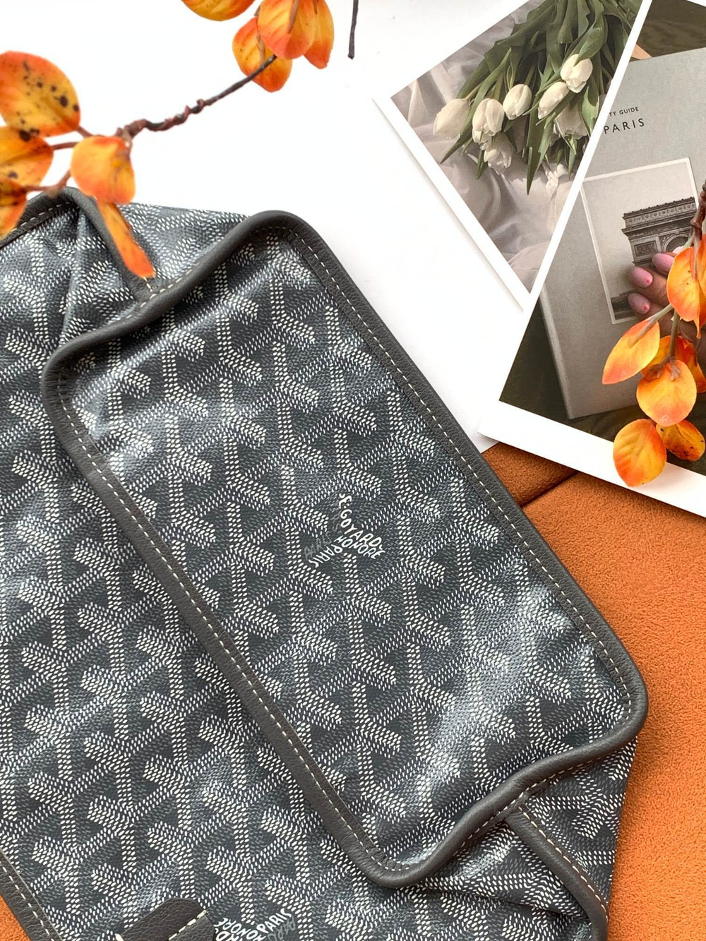 Goyard Anjou Mini Bag