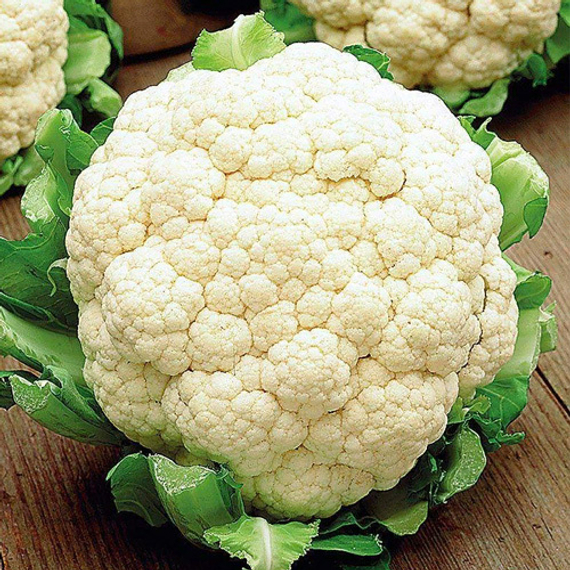 СПЕЙС СТАР F1 семена капусты цветной Syngenta отзывы – фото 4