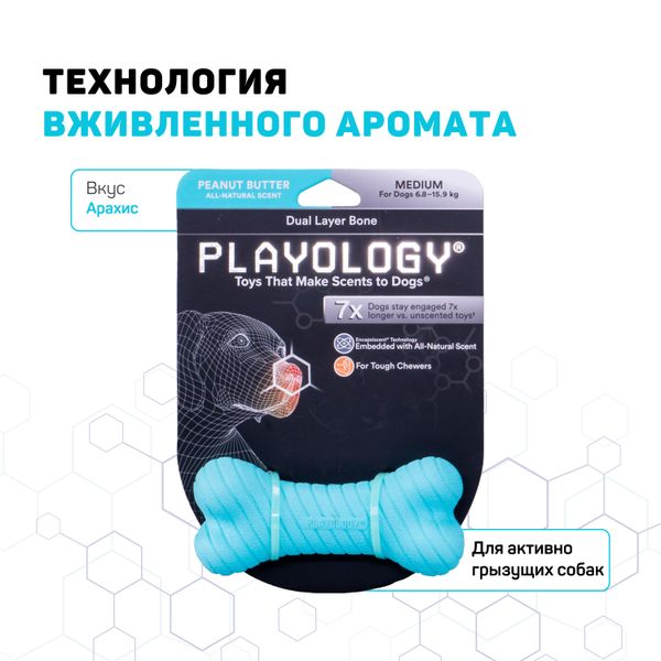 Двухслойная жевательная косточка Playology DUAL LAYER BONE для собак средних пород с ароматом арахиса, средняя, цвет голубой
