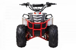 Квадроцикл WELS THUNDER EVO M детский