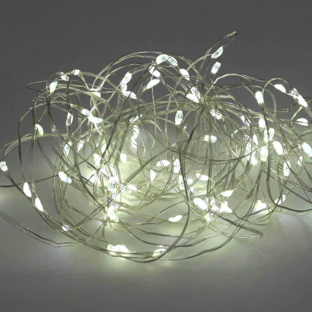 ENIN -10NW ЭРА Гирлянда LED Нить 10 м теплый свет 220V