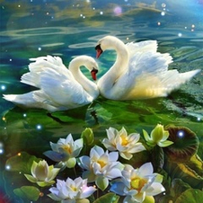 Посвящения