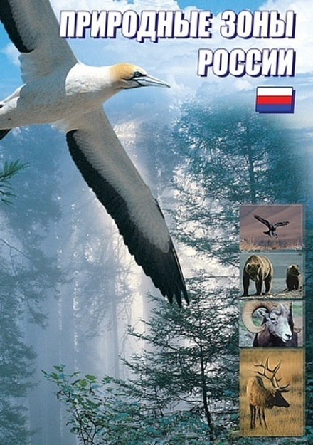 Природные зоны России