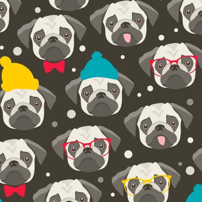 Зимние мопсы