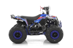 Квадроцикл MOTAX GRIZLIK A110