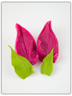 Чашелистик подсолнуха