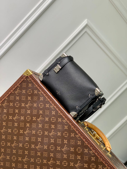 Louis Vuitton Side Trunk MM
