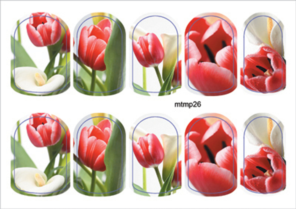 Термопленка ALLURE Арт.mtmp26 Набор 10 шт