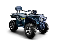 Квадроцикл BIZON ZX350