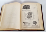 "Собрание сочинений.  В четырех томах."  Ч.Р.Дарвин. 1901 г.