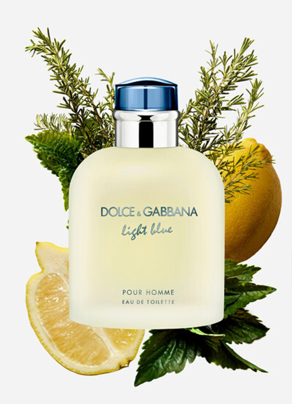 Light blue por homme store