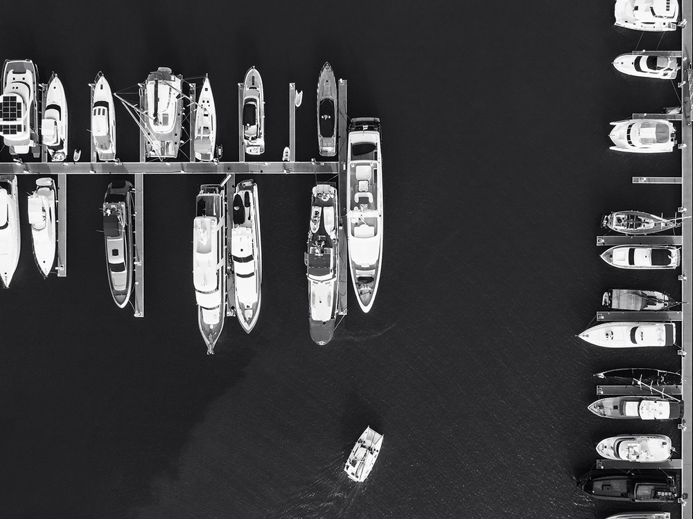 Дизайнерские обои Wall Street Bird see