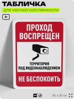Табличка для частной территории "Проход воспрещен", на дом, для участка, организаций и частных территорий, предупреждающая, 40х30 см, Silver Plane x Айдентика Технолоджи