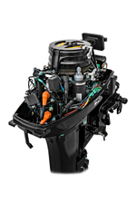 Лодочный мотор Reef Rider RR9.9FEL PRO