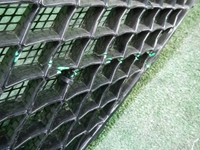 DSCN4269.JPG
