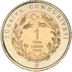 Четырёхпалый тушканчик