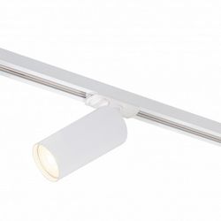 Светильник на штанге Denkirs DK620 DK6202-WH