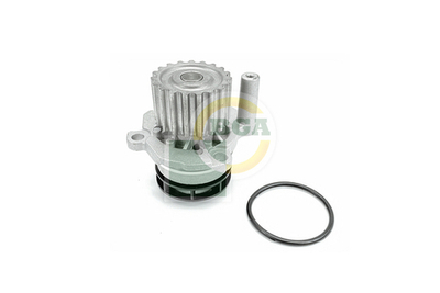 BGA - CP0106-BGA - Water Pump, engine cooling