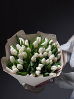 Тюльпаны 51 шт