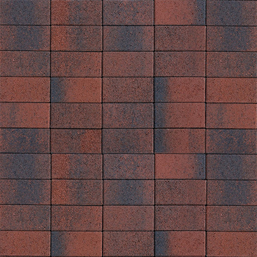 Тротуарная плитка ПРЯМОУГОЛЬНИК Б.2.П.6 200x100 мм Листопад гранит Клинкер