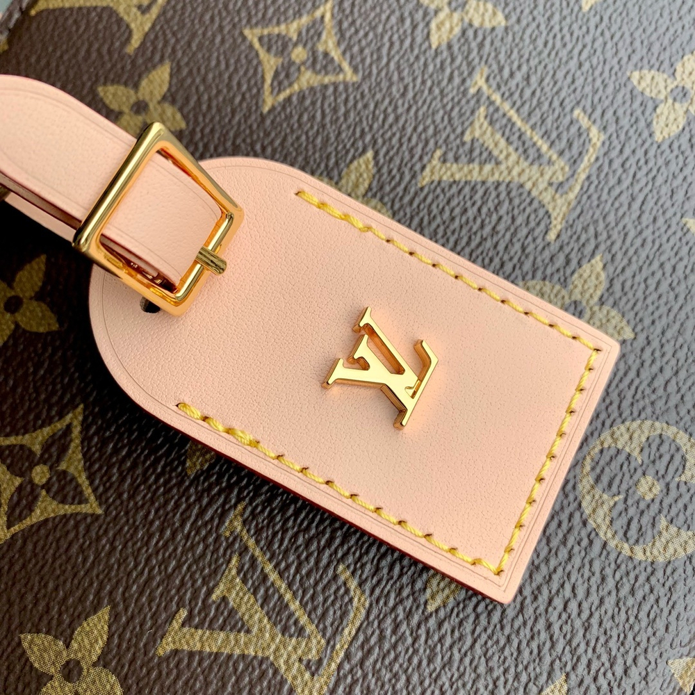 Louis Vuitton Around Me PM