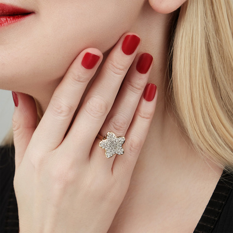 Кольцо "Эйлера"