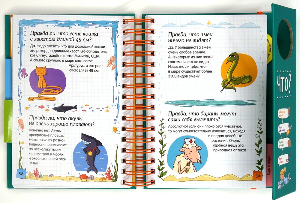 Правда ли, что?