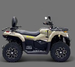 Квадроцикл Bizon YK450A ПТС