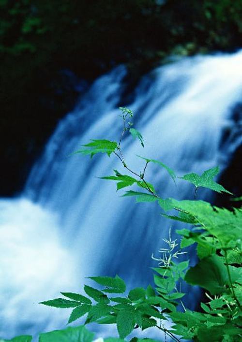 Природа 2 №8 Фотообои и Фрески ручной работы