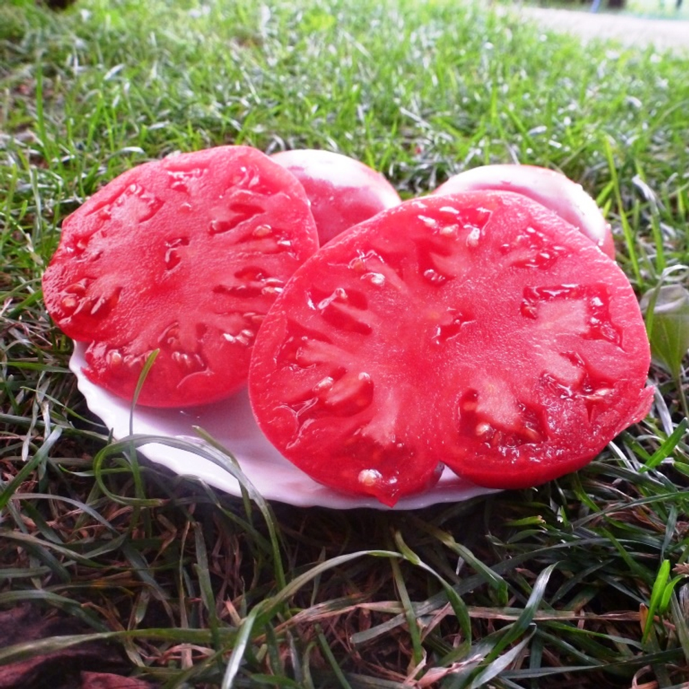 Помидоры Julia Child - Дитя Джулии