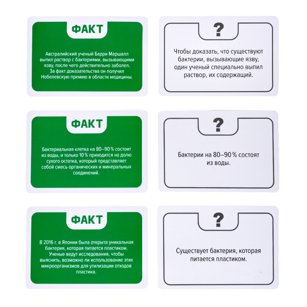 Игра настольная Факт или фейк Загадки микромира