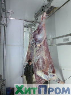 Комплекс убоя и переработки КРС до 20 голов/смена и МРС до 200 голов/смена. р. Татарстан