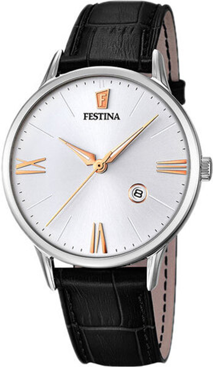 Мужские наручные часы Festina F16824/2