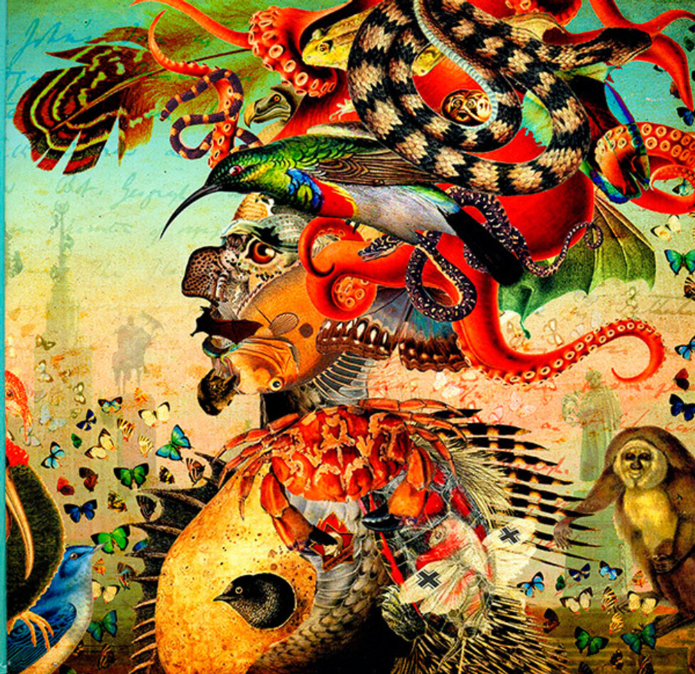 Аквариум / Записки О Флоре и Фауне (2LP)