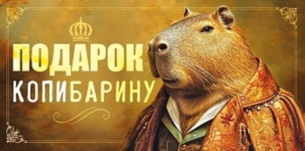 Конверт для денег Подарок КопиБарину