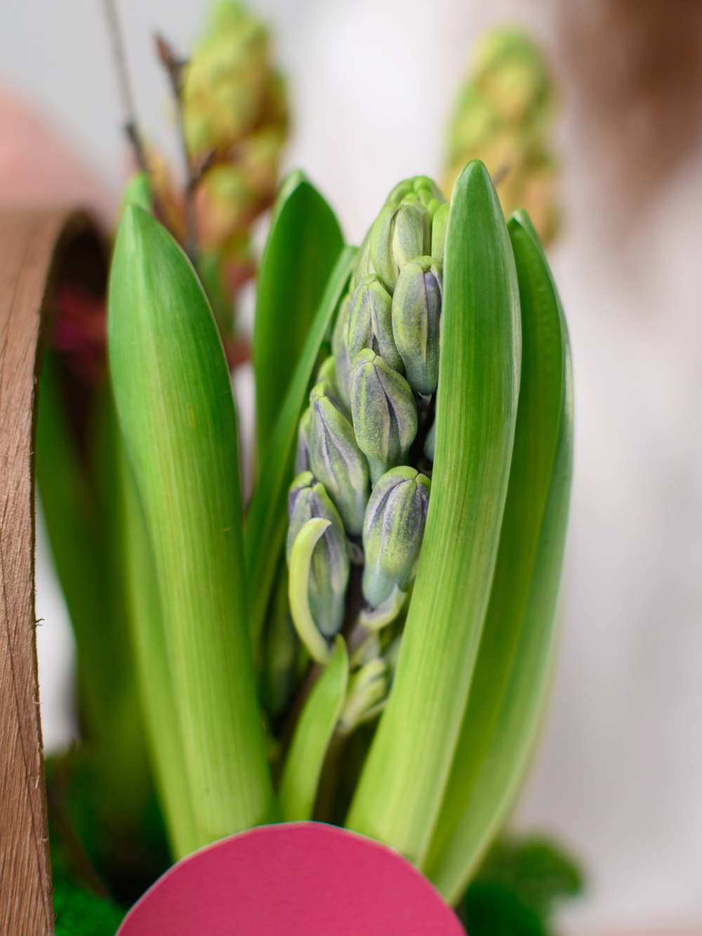 Аромат весны