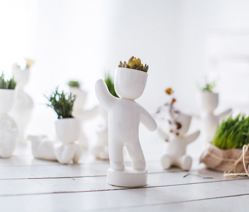 Набор для выращивания eco Победитель