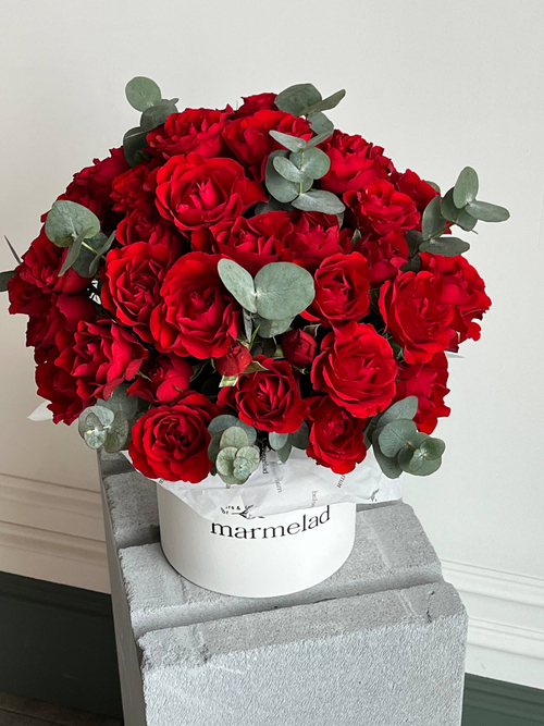 собран сегодня #03