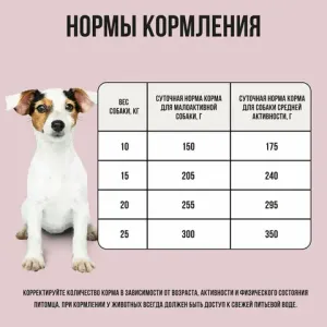 Сухой корм BOWL WOW для собак средних пород с индейкой, рисом и яблоком