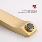 Смеситель для раковины встраиваемый Raglo R01.11.03, золотой сатин