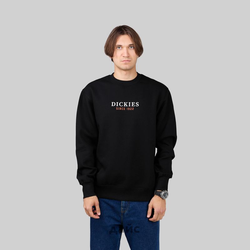 Толстовка мужская Dickies Park Sweatshirt артикул:DK0A4YEIBLK1 - купить в магазине Дайс