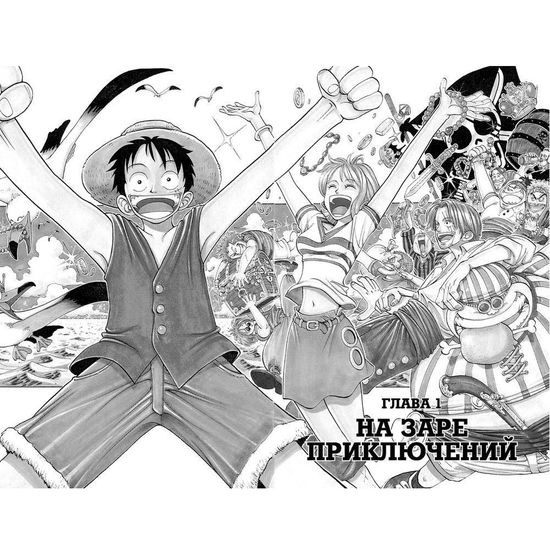 Манга One Piece. Большой куш. Книга 1