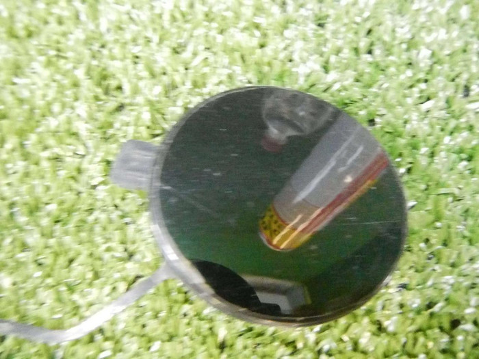 DSCN8772.jpg